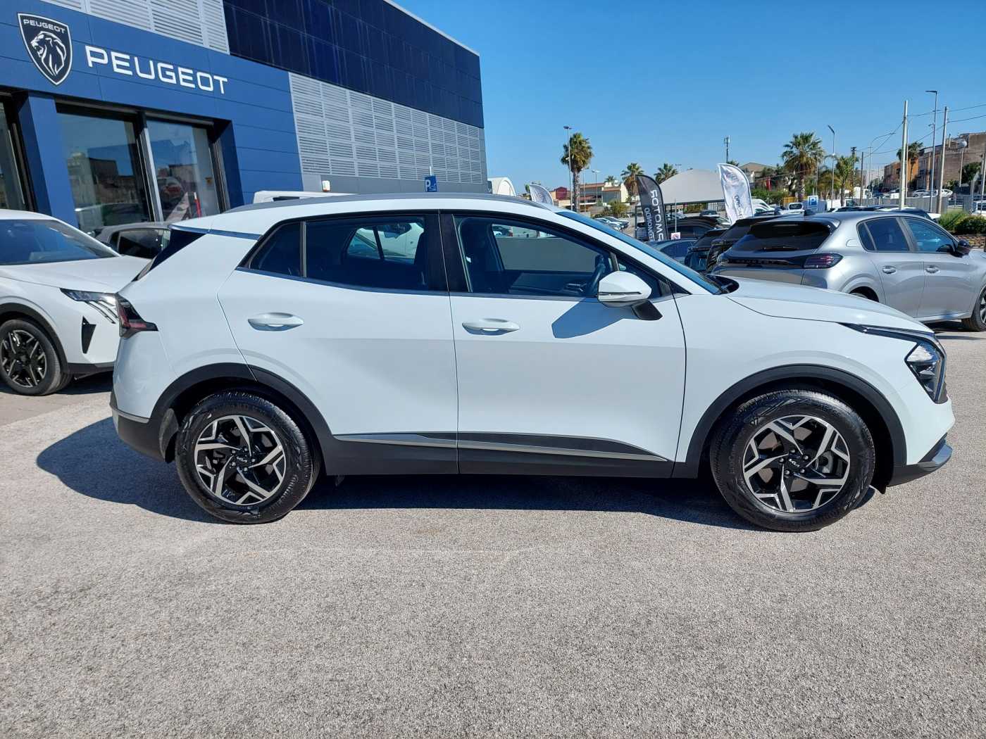 Kia Sportage 5ª serie 1.6 CRDi MHEV DCT Business