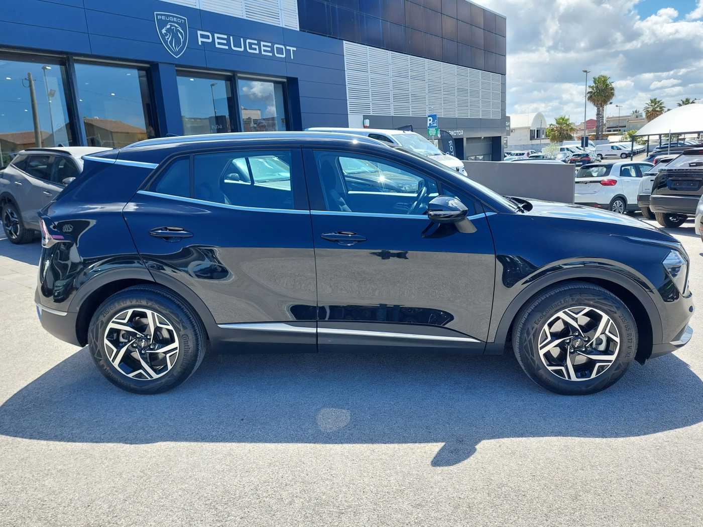 Kia Sportage 5ª serie 1.6 CRDi MHEV DCT Business