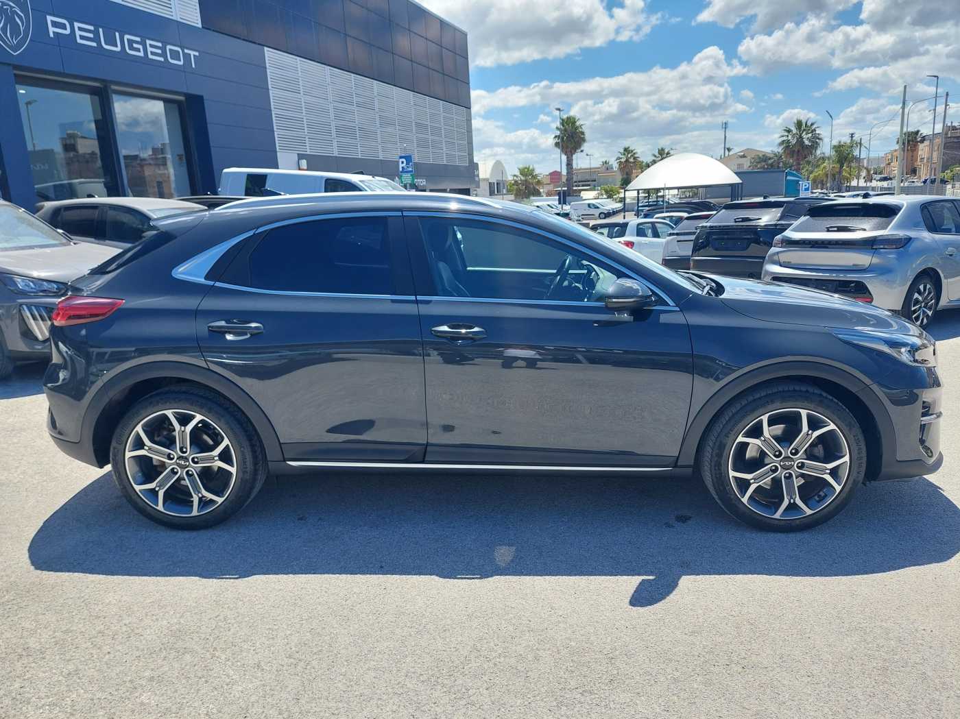 Kia XCeed 1.5 T-GDi 160 CV Business TT