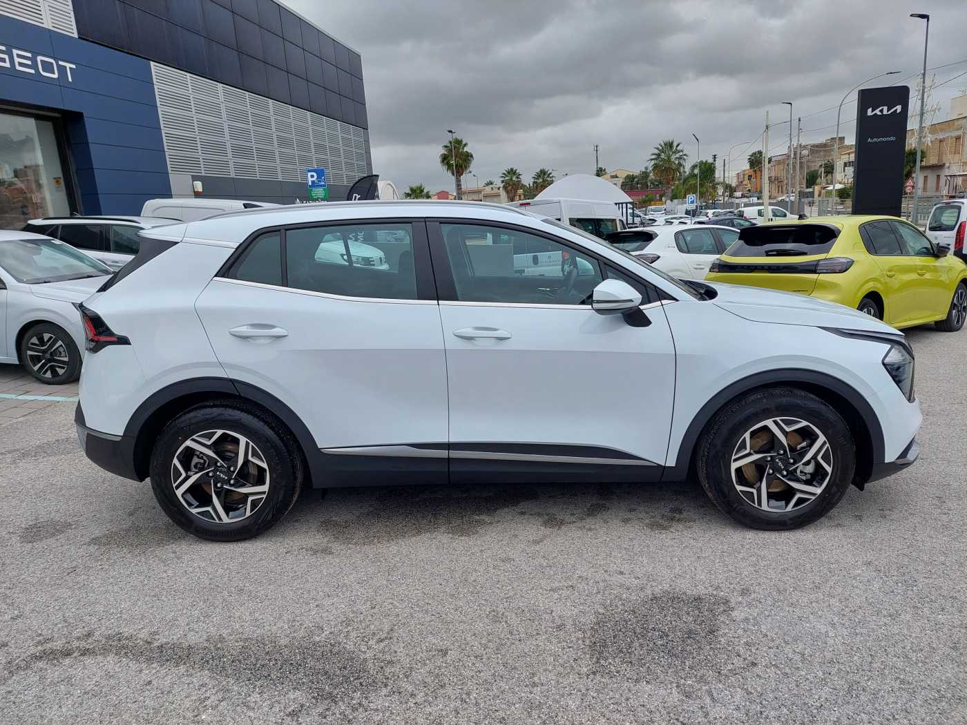 Kia Sportage 5ª serie 1.6 CRDi MHEV DCT Business