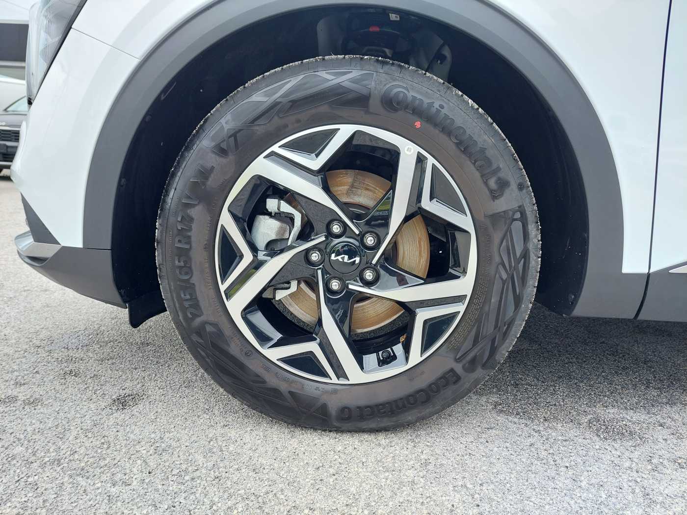 Kia Sportage 5ª serie 1.6 CRDi MHEV DCT Business