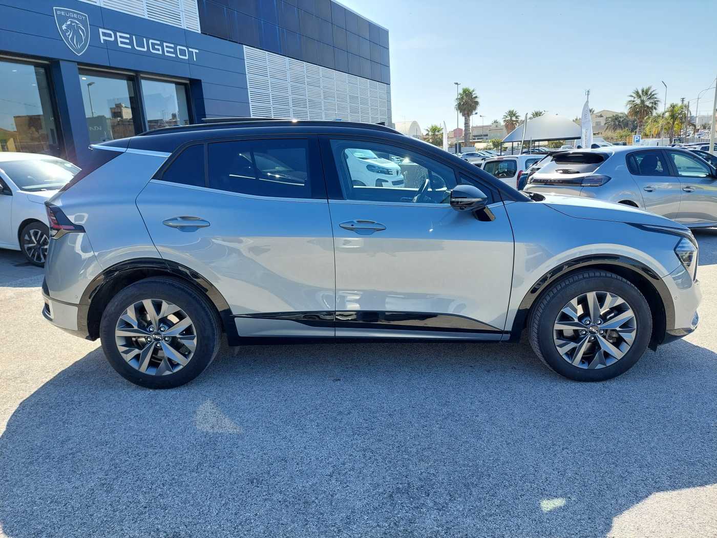 Kia Sportage 5ª serie 1.6 TGDi HEV AT GT-line Plus