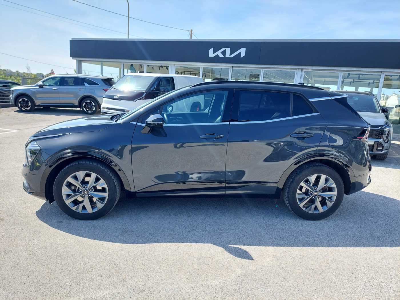 Kia Sportage 5ª serie 1.6 TGDi HEV AT GT-line