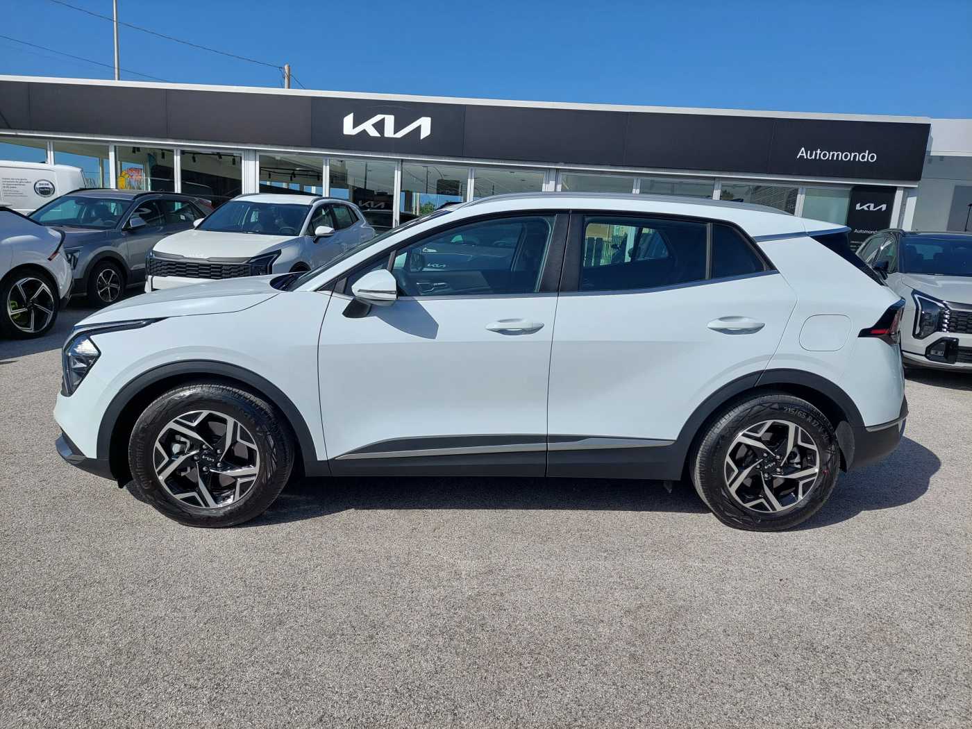 Kia Sportage 5ª serie 1.6 CRDi MHEV DCT Business